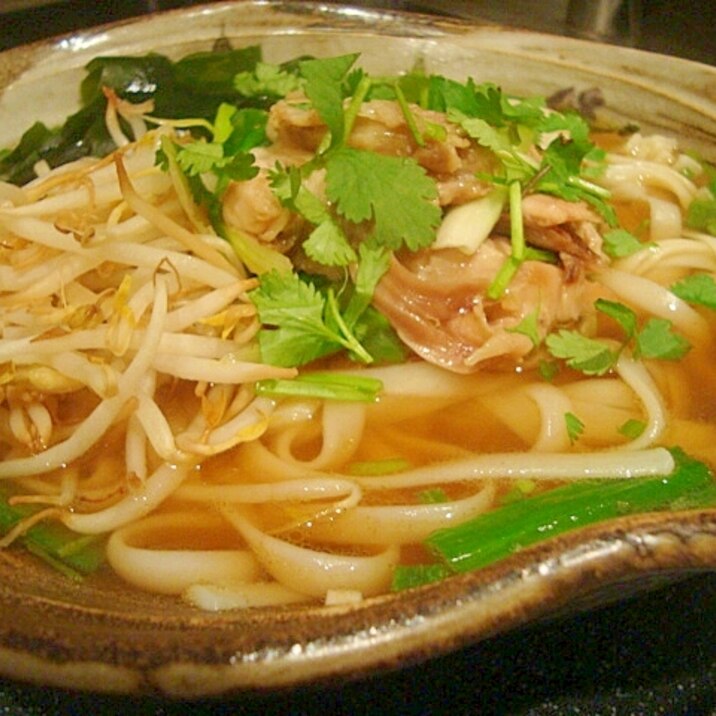 コリアンダーと中華だしでアジア風鶏塩にんにくうどん